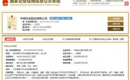 锦州钛业正式更名为“中信钛业”